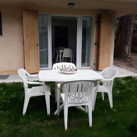 I Cactus Di Mima