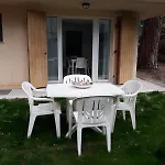 I Cactus Di Mima
