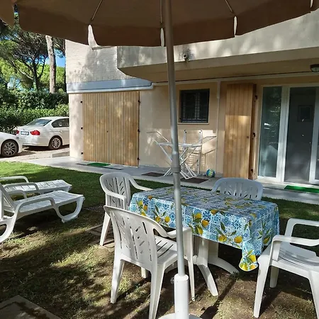 I Cactus Di Mima Milano Marittima
